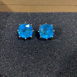Blue Stud Earrings